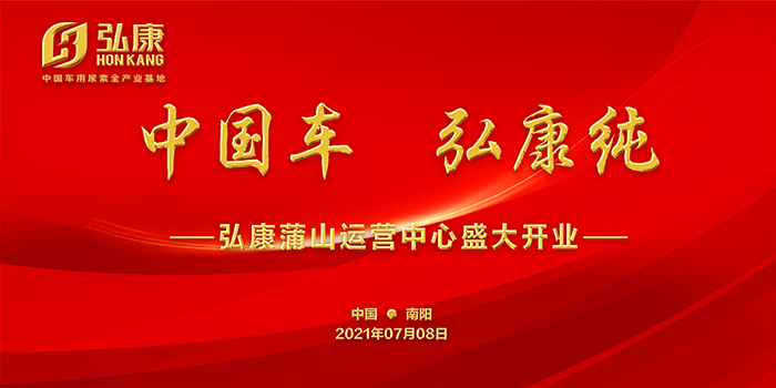 中国车 利发国际纯.png